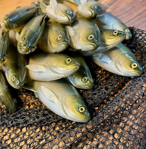 7" Weedless X-Minnow - Image 2