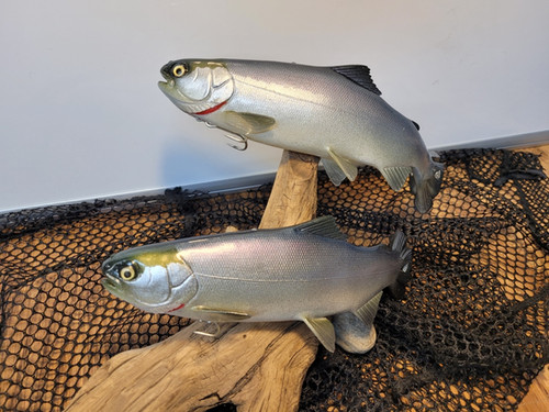 9.5" Floater Mag - Image 5