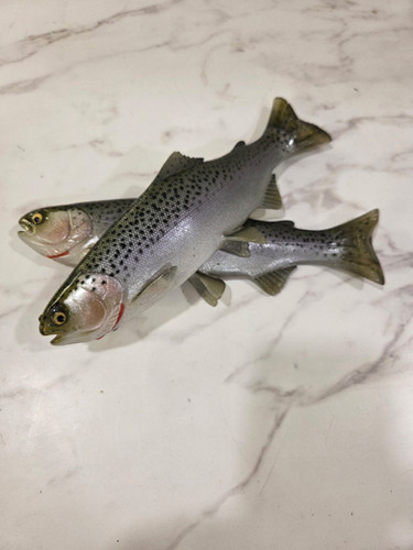 9.5" Floater Mag - Image 9