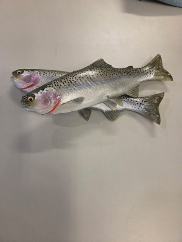 9.5" Floater Mag - Image 8