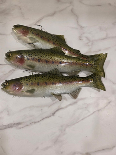 9.5" Magnum Trout ROF 6 - Image 10