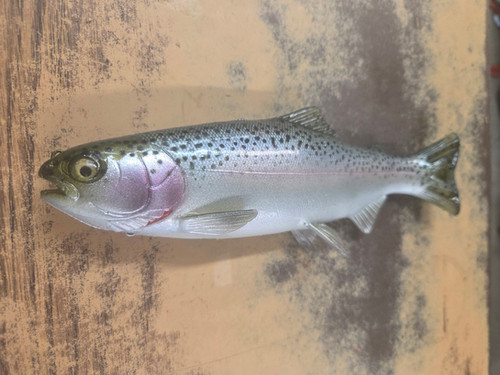 9.5" Floater Mag - Image 15