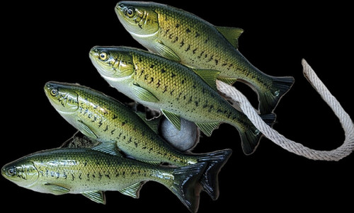 7" Weedless X-Minnow - Image 10