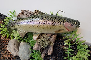 9.5 Mag Custom Juvenile Trout 95.jpeg