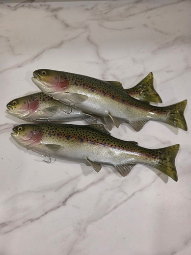 9.5" Floater Mag - Image 14