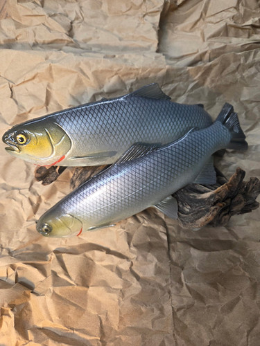 9.5" Floater Mag - Image 12