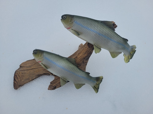 9.5" Floater Mag - Image 4