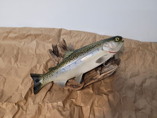 9.5" Floater Mag - Image 2