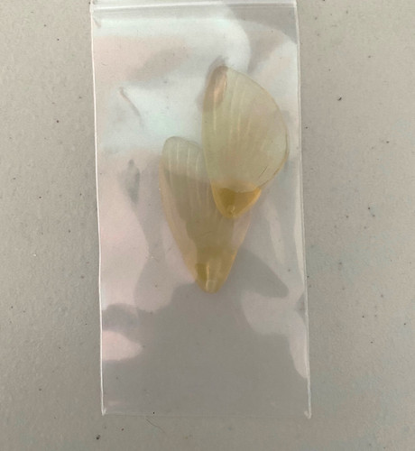 Mag-X Fin Replacement