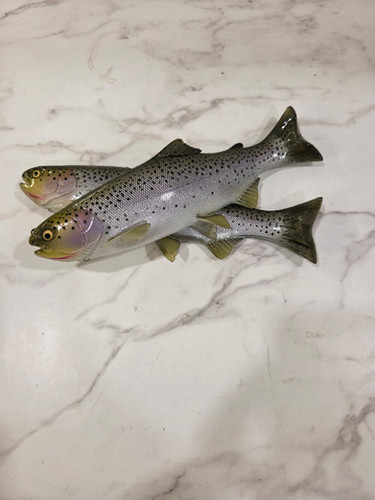 9.5" Floater Mag - Image 10