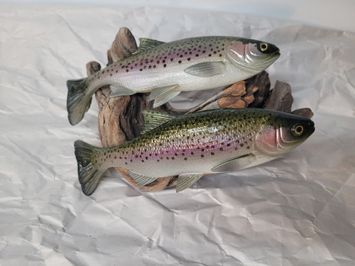 7" Weedless X-Minnow - Image 8