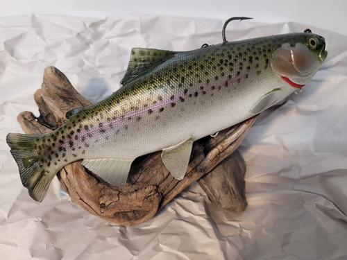 日本未発売　Hawg Hunter マグナムトラウト9.5inch carpsq.jpg?v=1693630871&width=1946