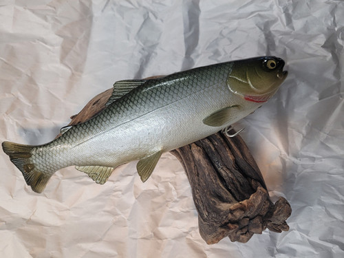 9.5" Floater Mag - Image 11