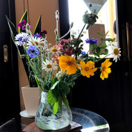 IMG_2972.jpeg