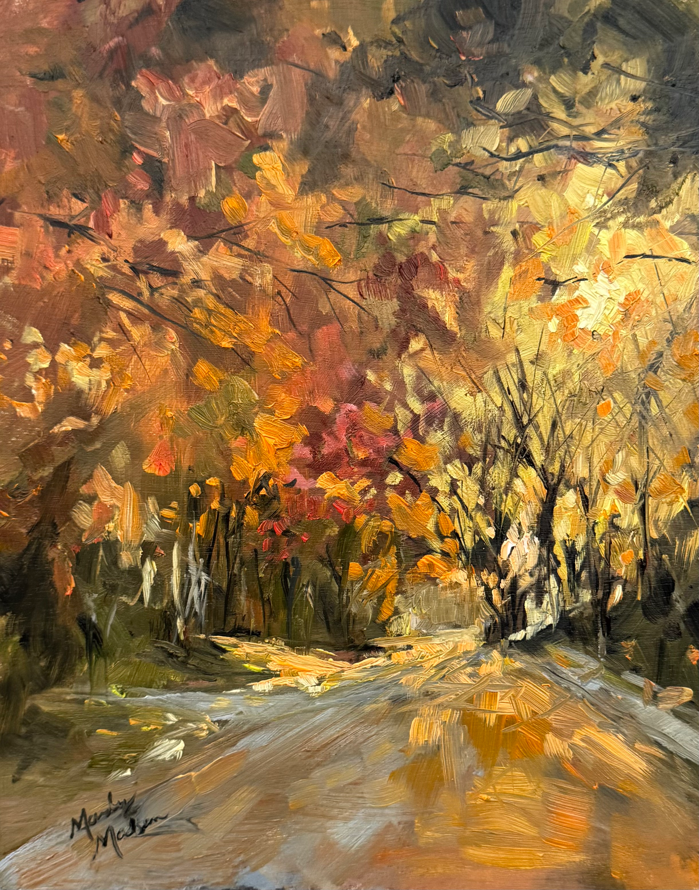 SOLD Where the Light Finds You