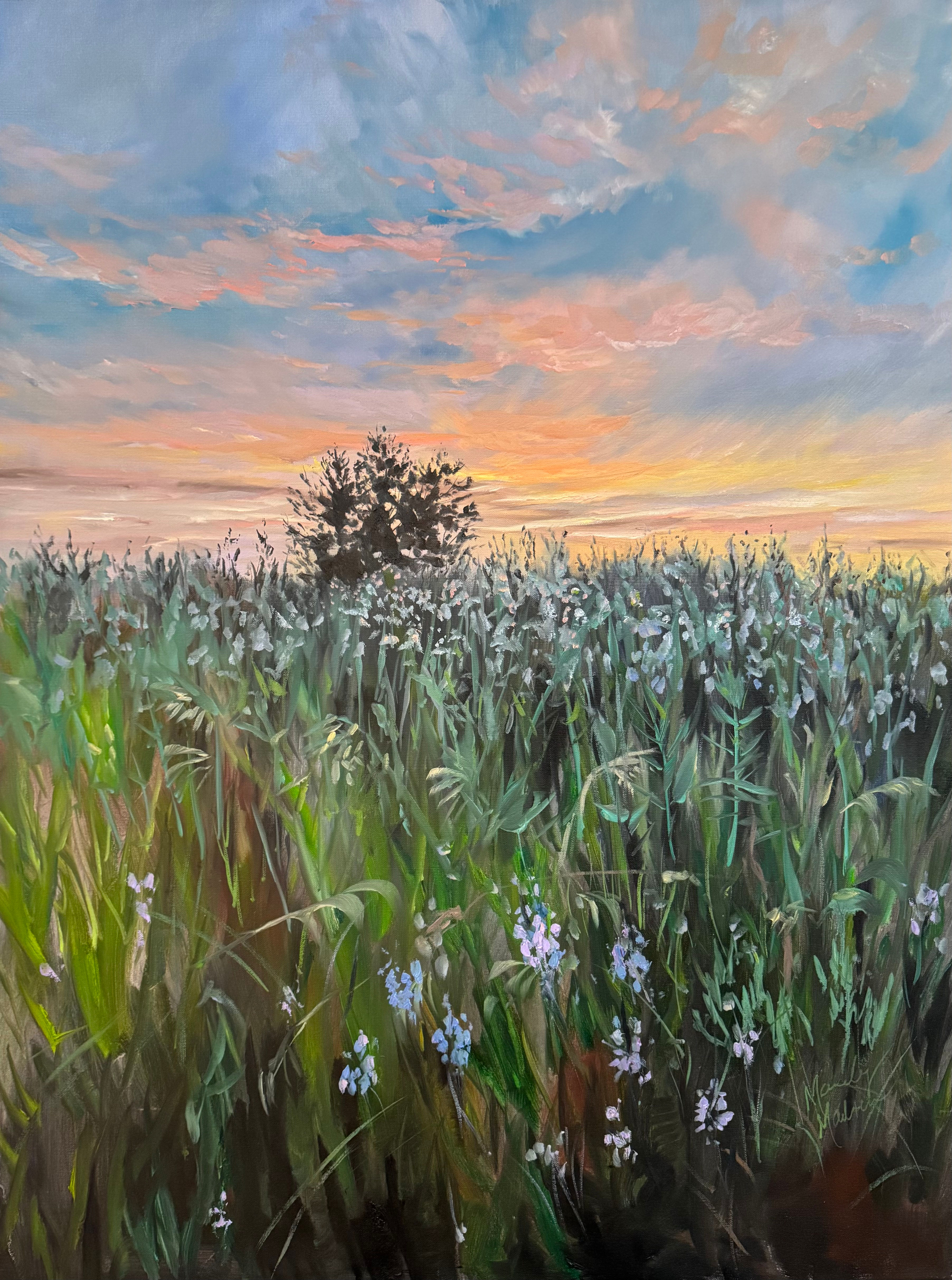 SOLD Consider The Fields 