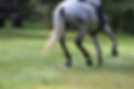 1382935_569282283119100_697620656_n.jpg