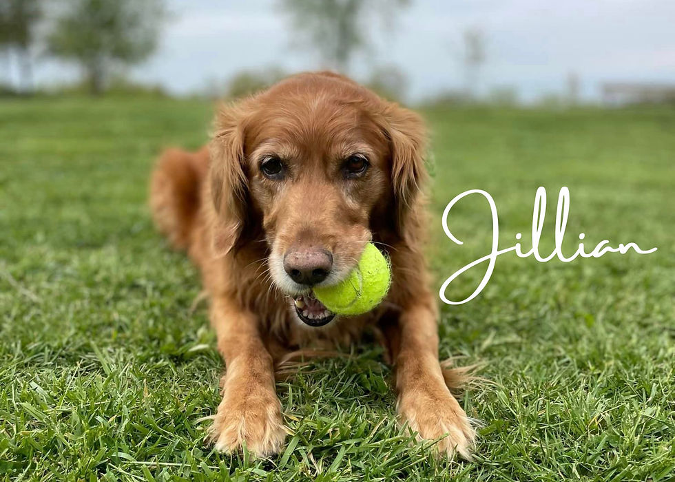 Jill