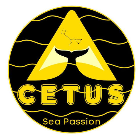 8f335880-fe0e-4d7b-bb49-c8b1efcace6c.jfif