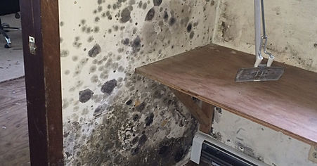 Mold on Basement Walls