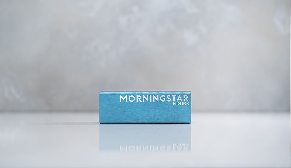 Morningstar MIDI Box