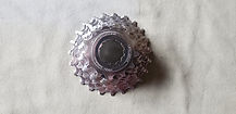 Shimano_105_91-13-23.jpg
