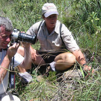 Africa Plant Safari