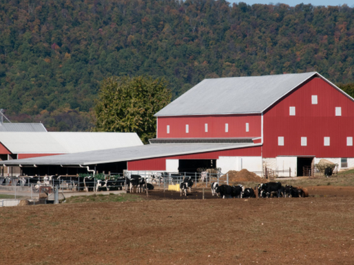 Registering a Trade Name for Your Farm-What’s in a Name?