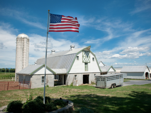 Raise your glasses, of MILK that is, and Cheers to National Dairy Month!