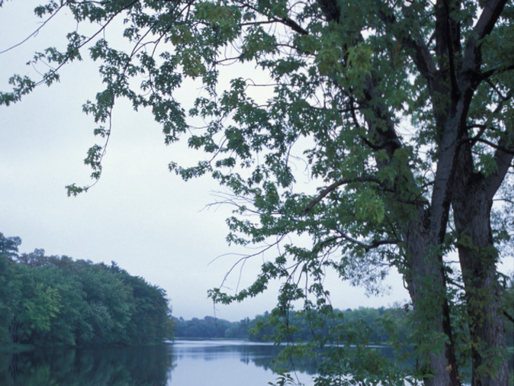 House Votes To Void WOTUS Rule