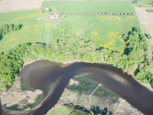 What If I Live Near Water Where the Tide Rises and Falls? The Tidal Wetlands Permit