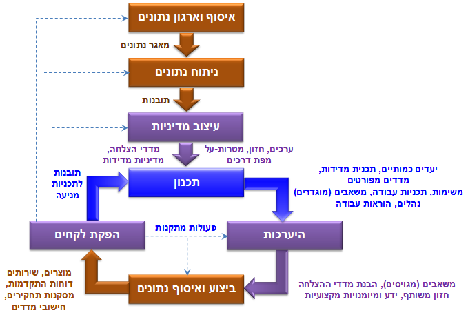 התהליך האבולוציוני