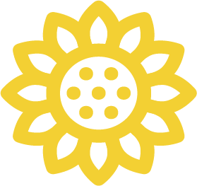 Largest Sunflower