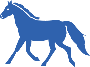 Horse Show
