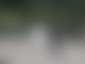 LEARNINGS FROM LIBERTY