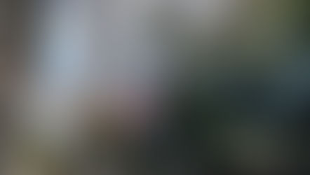 Group chats, gossip, and isolation: the hidden crisis of college bullying