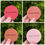 Thumbnail: Colour Samples