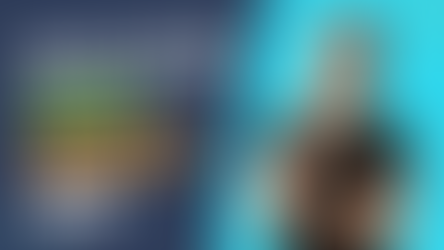 What's the Fuss About Website SEO? — What is SEO, and Why is it important?