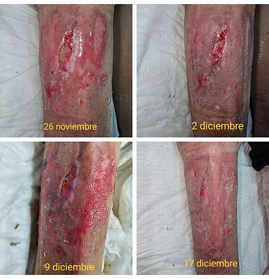 WhatsApp Image 2025-02-14 at 7.23.14 AM.jpeg