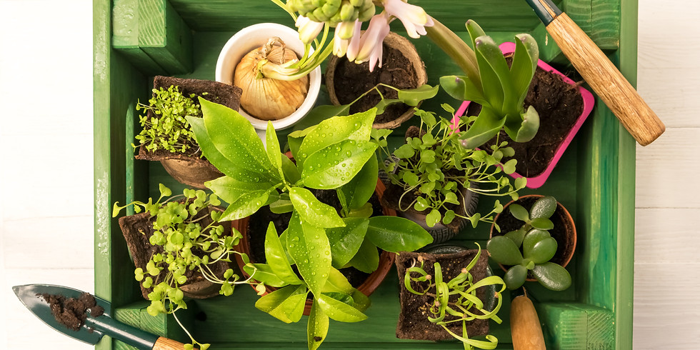 Canceled -- Create Your Own Window Box