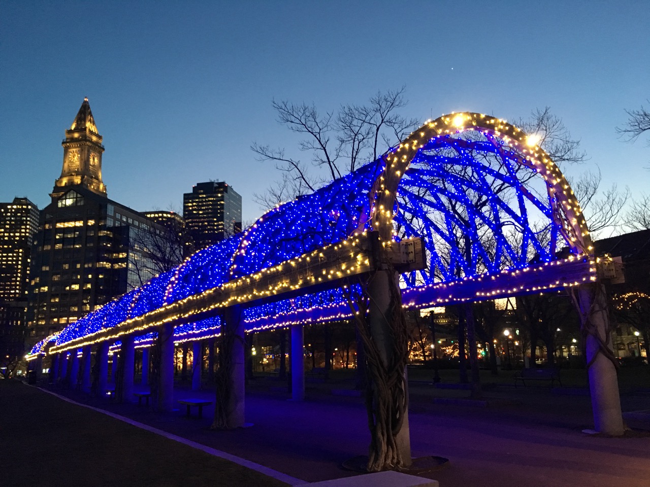 2019 Annual Trellis Lighting Ceremony 2019 Annual Trellis Lighting Ceremony