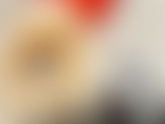 Tailsペットホテル — 家のように安心して過ごせる場所