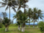 Lava Coast Creative Retreat