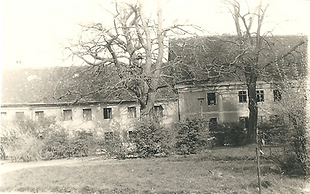 A. Vehse (8).png