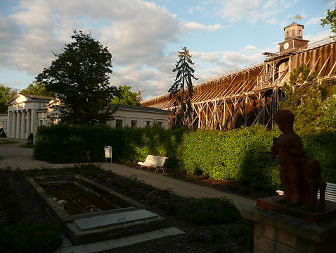 2011 03.05. Rosengarten.jpg