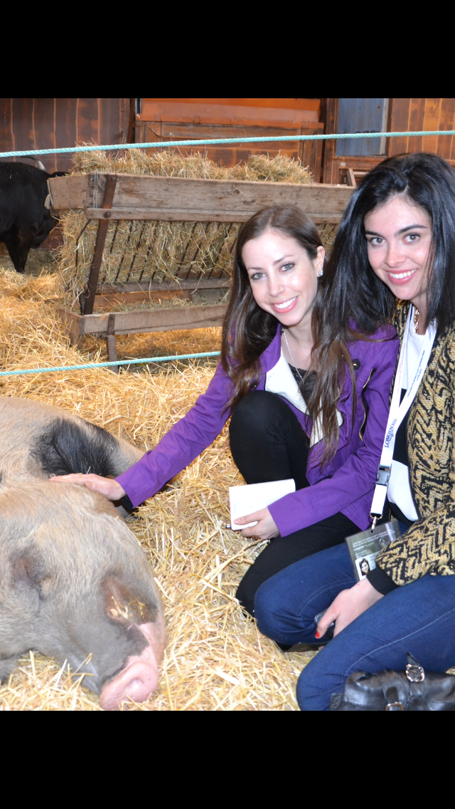 Taylor & Jessie's new porcine friend