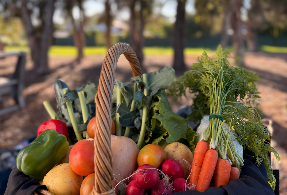 Hopeland produce (14).png