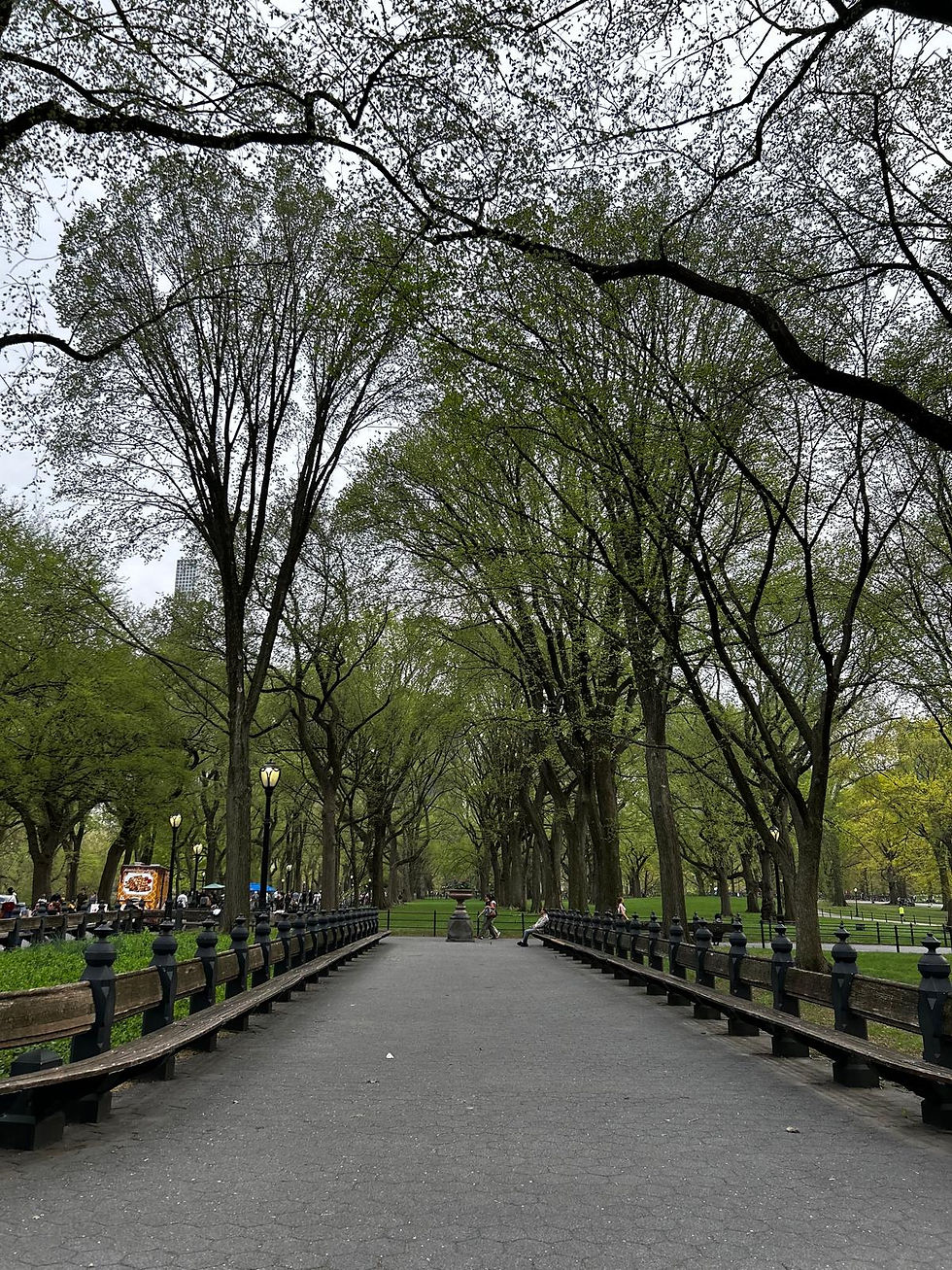 Maid in Manhattam film forgatási helyszín a Central Park-ban