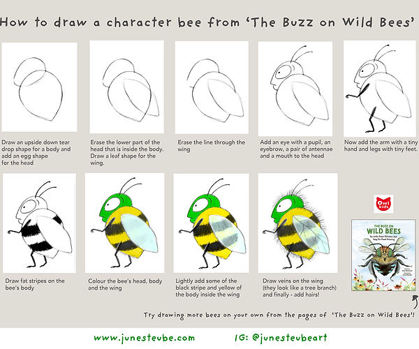 How to draw a striped bee_JuneSteube.jpg