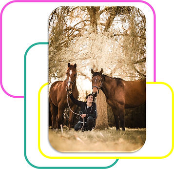 Relation cavalier cheval